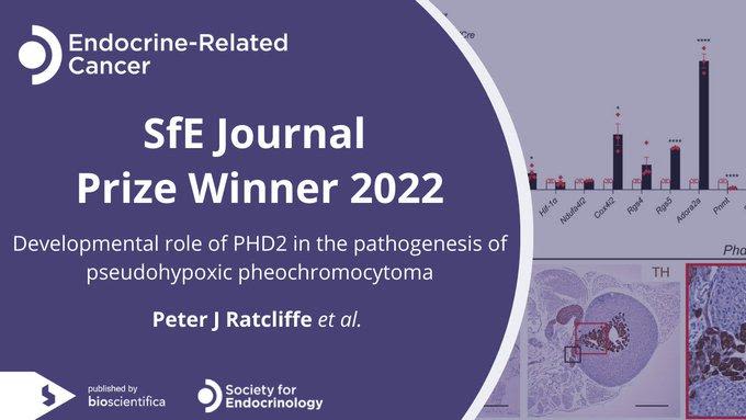 Endocrine-related cancer SfE Journal Prize Winner 2022 "Developmental role of PHD2 in the pathogenesis of pseudohypoxic phaeochromocytoma" Peter J Ratcliffe et al