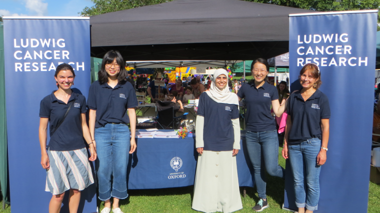 5 Ludwig Oxford researchers standing in front of the stand at the Headington Festival in bright sunshine
