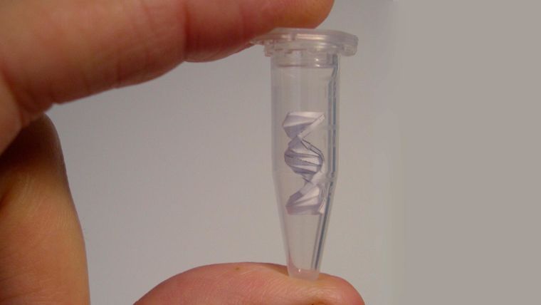 A small sealed transparent tube containing a paper origami model of DNA