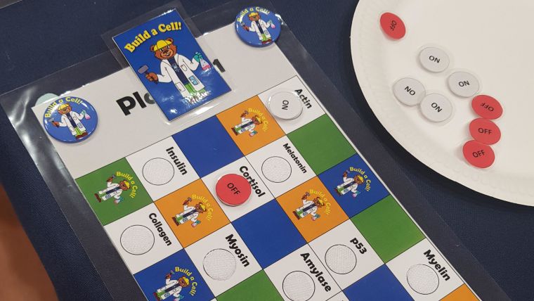 A photo of the build a cell public engagement board game
