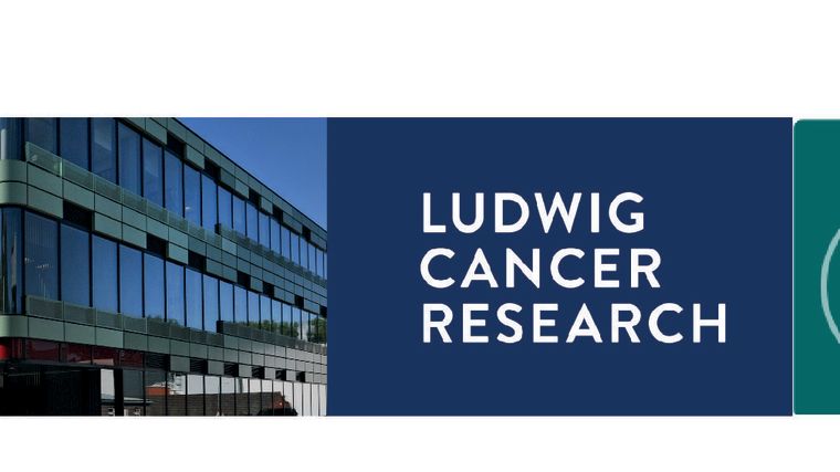 A banner containing the logos of the Nuffield Department of Medicine, Ludwig Cancer Research, The Structural Genomics Consortium and the Jenner Institute with a photo of the Old Road Campus Resarch Building